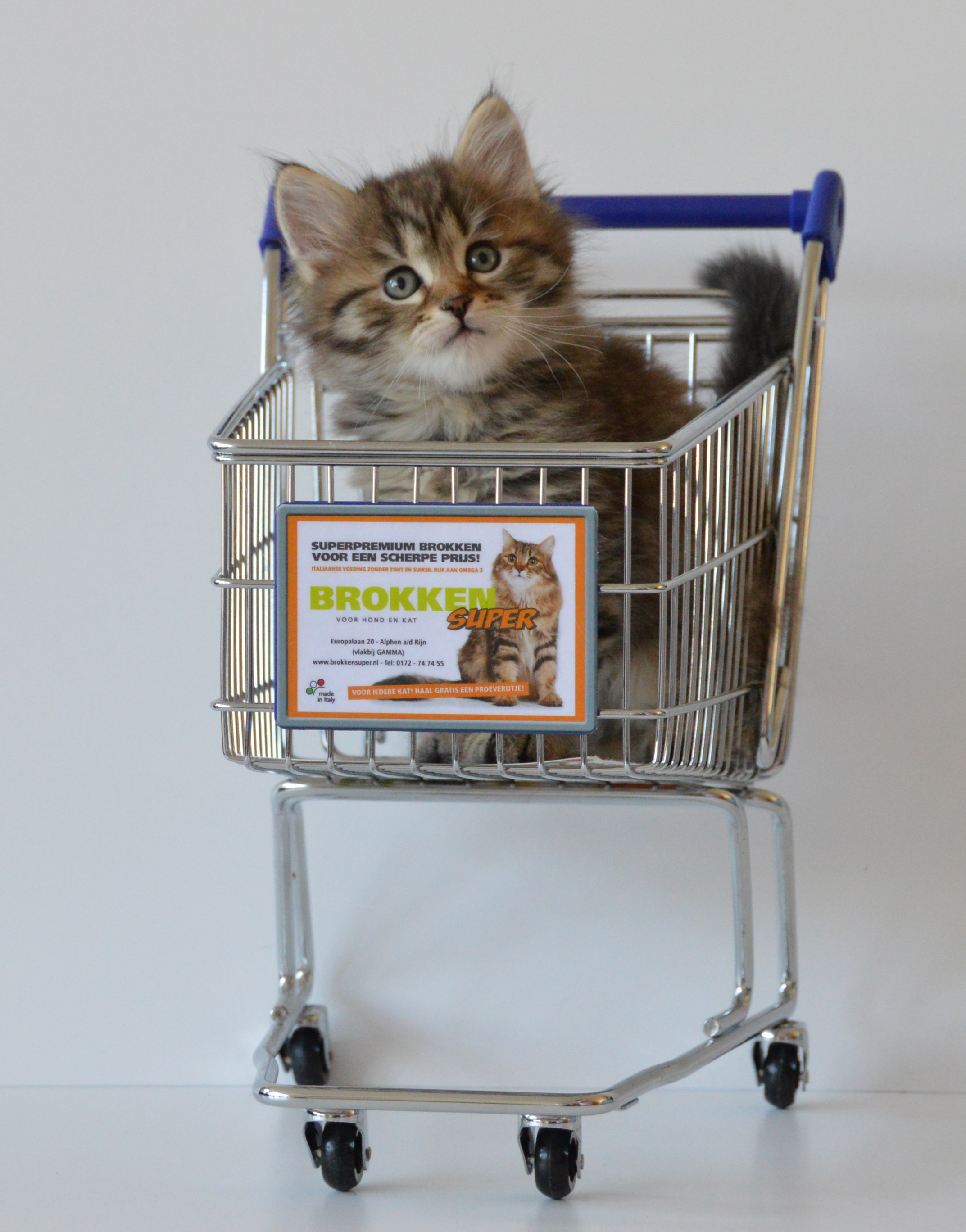 Brokkensuper