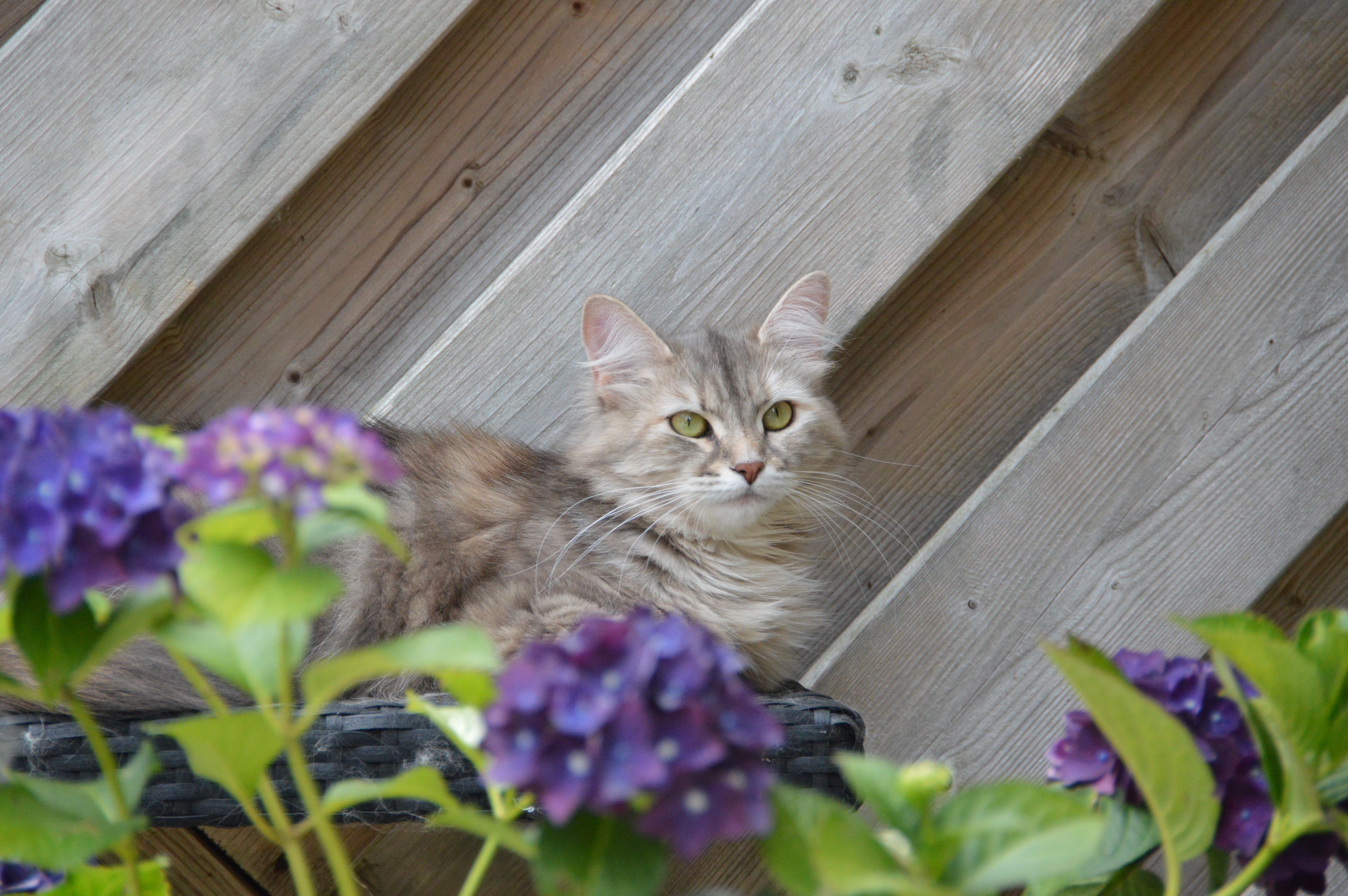 DSC_0001